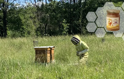 Première récolte de miel chez BEMACO